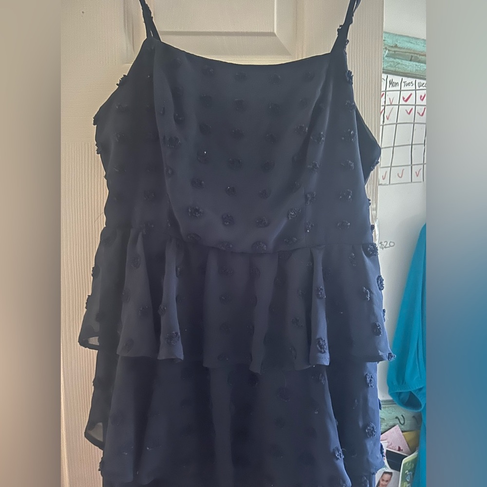 Altar'd State Navy Mini Dress